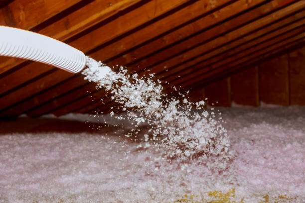 Best Affordable Insulation Services  in Lebanon, TN