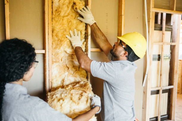 Best Insulation Contractors for Homes  in Lebanon, TN